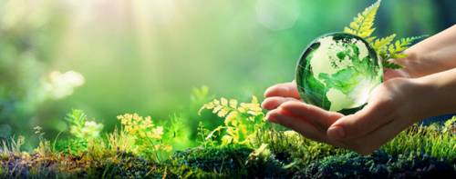 $75 National Online Study About Eco-Friendly Household Products