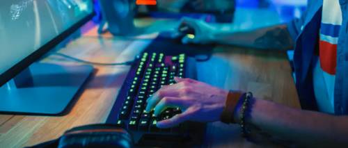 $100 National Online Study: Consumer & Gaming Accessories