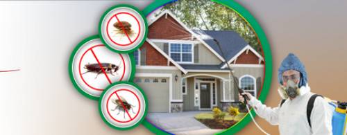 $400 National Online Study About Pest Control