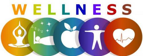 $175 National Online Study About Health and Wellness