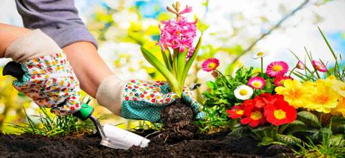 $125 National Online Study About Gardening