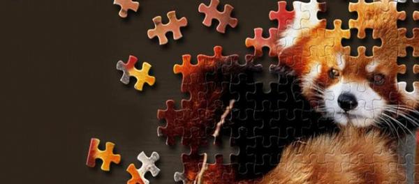 $200 Online Study About General Activities (Select States)