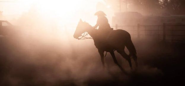$125 National Online Study About Clothing For Horse Riding, Ranchers, Equestrians, Etc.