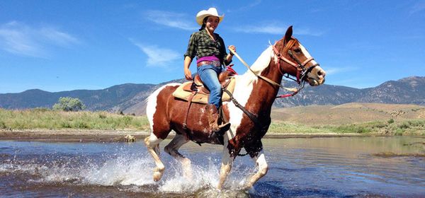 $200 National Online Study About Horses