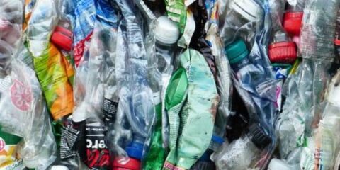 $150 In-Person Focus Group About Recycling (NYC)