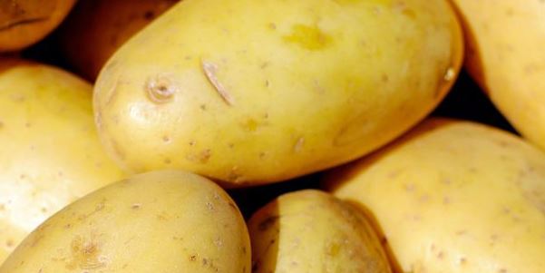 $100 National Online Study About Frozen Potatoes
