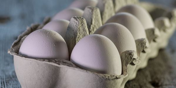 $200 National Online Study About Eggs