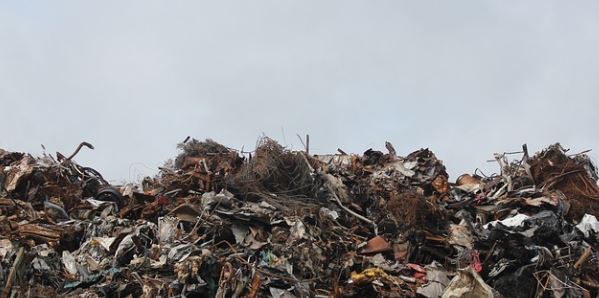 $450 Online Study About Waste Management (Select Cities)