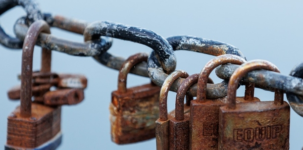 $100-$150 National Online Study & Shopping Mission About Padlocks