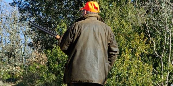 $200 Online Study For Hunters (California)